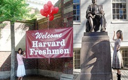 Những cô gái Việt không chùn chân trước Harvard 