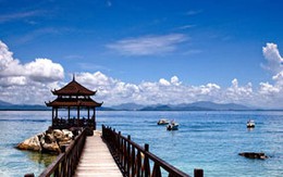 Hòn đảo của những hoa hậu