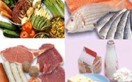 Thức ăn của trẻ bị nhiễm độc chì