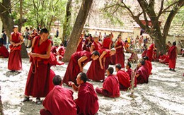 Độc đáo tu viện hoa hồng