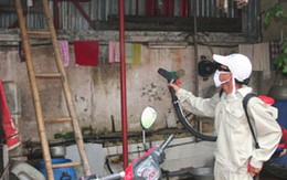 Đầu hè, mất ăn mất ngủ vì muỗi
