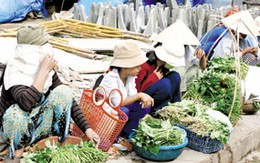 Nguy cơ trong khẩu phần ăn của trẻ ở HN: Nhiều loại thực phẩm nhiễm chì