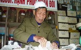 Chuyện lương y “ki bo” nhất Thái Bình