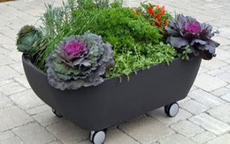Độc đáo chậu hoa di động cho nhà hẹp 