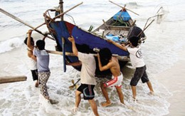 Chuyện ảnh: Mùa cá nục