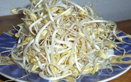 5 cách dùng giá đỗ chữa bệnh