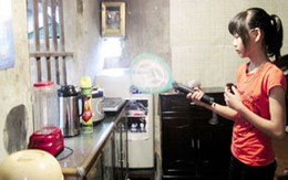 Muỗi hoành hành ở Hà Nội