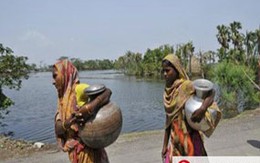Phiên chợ bán vợ
