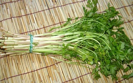 Không nên bỏ lá rau cần