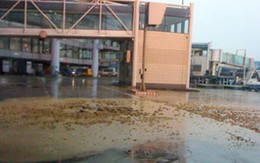 Mưa lớn, sân bay Nội Bài bục bể phốt
