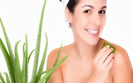 Làm đẹp da mặt bằng nước lô hội