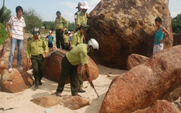 Chuyến săn thú với chó nghiệp vụ