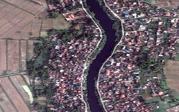 Kỳ lạ làng “xương cá”
