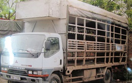 Cảnh sát chặn tài xế ngủ gật, đánh võng trên đường 