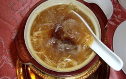 Vây cá mập nguy hiểm cho sức khỏe?