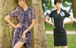 Alcado giảm 50% mừng sinh nhật