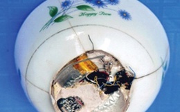 'Thần bài' Hà thành lộ quái chiêu 