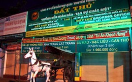 Giám đốc bị bắt vì nghi án cưỡng hiếp nhân viên thực tập