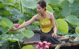 Mê hồn ngọc nữ áo yếm e ấp bên sen