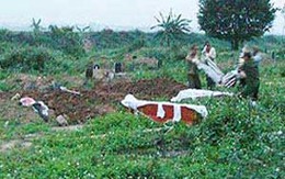 Thảm cảnh "hoa hậu ma túy" ngày đền tội