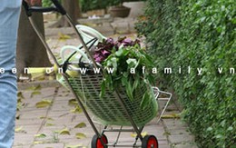 Đi chợ nhẹ nhàng với xe đẩy đa năng