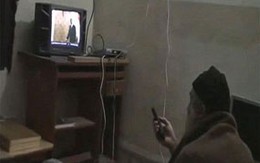 Những ngày cuối đời của Bin Laden 