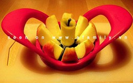 Dụng cụ cắt hoa quả nhanh, đẹp