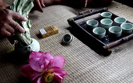 Hốt bạc từ cho thuê sen Tây Hồ chụp ảnh