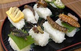 Rùng mình đi ăn côn trùng ở Hà Nội