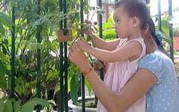 Đẹp mà nguy hiểm