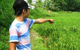 Chuyện đau lòng về một thanh niên tự sát vì không được mua ô tô 