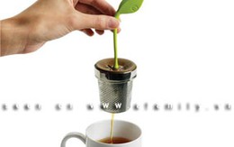 Dụng cụ nhúng trà hình... chiếc lá