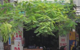 Giết người vì...cái gương chiếu hậu