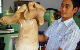 Mỗi tuần 7 chuyện