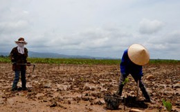 Phó Chủ tịch xã “lái” UBND tỉnh