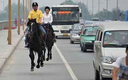 "Ghét" tắc đường, cưỡi ngựa đi làm
