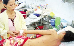 An toàn cho trẻ trong ngày hè (4): Đề phòng ong đốt 