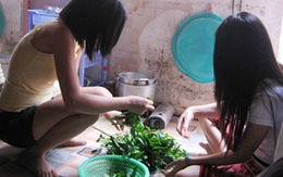 "Dân quê và việc hỗ trợ giá điện cho người nghèo": Kẻ thờ ơ, người chờ... đỏ mắt
