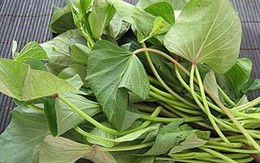 Dân dã canh rau lang nấu ốc 
