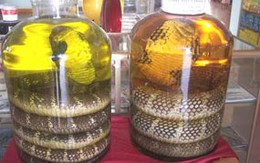 Cách ngâm rượu rắn