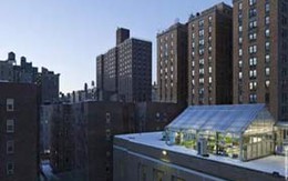 “Làm ruộng” trên nóc nhà New York