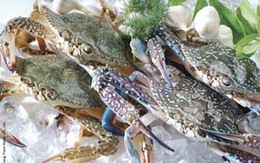 Có nên dùng thường xuyên thực phẩm ướp lạnh? 