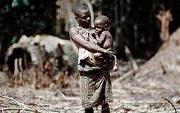 Nơi bé gái 8 tuổi đã thành đàn bà 