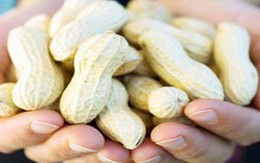 5 tạng người không nên ăn lạc