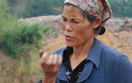 Cần giải tỏa câu chuyện “thánh vật”