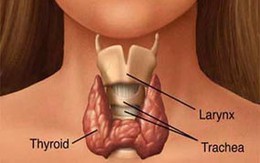 Dấu hiệu tuyến giáp có bệnh