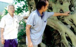 Người bỏ ô tô dồn tiền mua cây