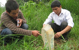 Hư thực về kho vàng bí ẩn ở Hà Giang