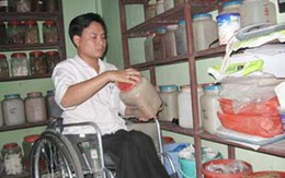 Chiến thắng nỗi đau 