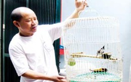 Phản hồi: Bài viết “Bi kịch dị nhân giời đày”